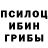 Псилоцибиновые грибы Psilocybe Dmitrij Li