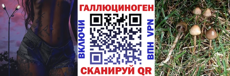 Псилоцибиновые грибы прущие грибы  что такое наркотик  Каменногорск 