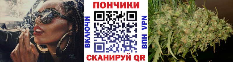 Конопля OG Kush купить omg как войти Каменногорск